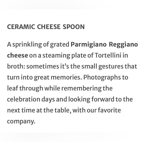 Emilia Food Love ceramic cheese box and ceramic cheese spoon. NWT, NIB. - Picture 5 of 14